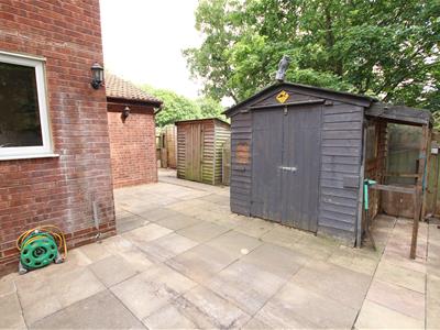 Picture 12